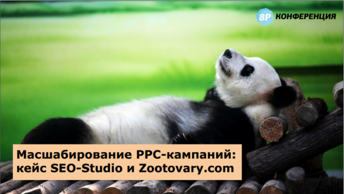 Масштабирование PPC-кампаний: кейс SEO-Studio и Zootovary.com 1